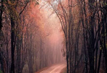 欧博官网：美国队连输巴拿马、加拿大！波切蒂诺：现在发现问题比将来好.