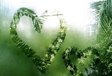 欧博官网：WCBA：连胜收官 山东高速赤水河酒女篮98-69新疆女篮.