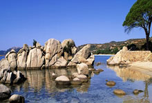 欧博官网：WCBA：连胜收官 山东高速赤水河酒女篮98-69新疆女篮.